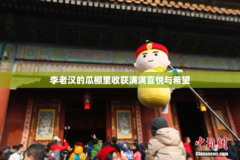 李老汉的瓜棚里收获满满喜悦与希望
