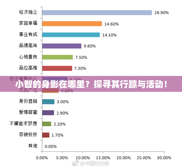 小智的身影在哪里？探寻其行踪与活动！
