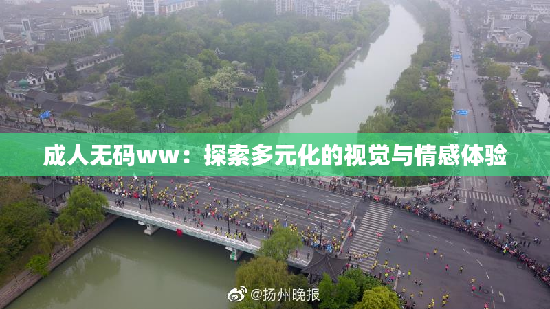 成人无码ww：探索多元化的视觉与情感体验