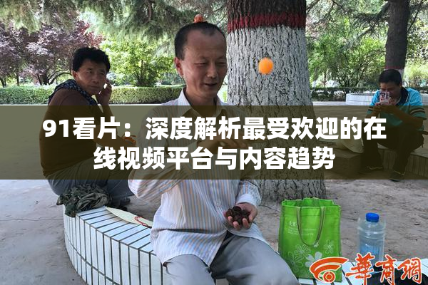 91看片：深度解析最受欢迎的在线视频平台与内容趋势