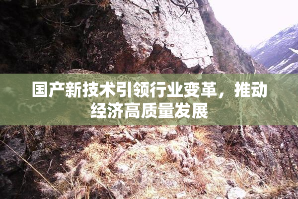 国产新技术引领行业变革，推动经济高质量发展