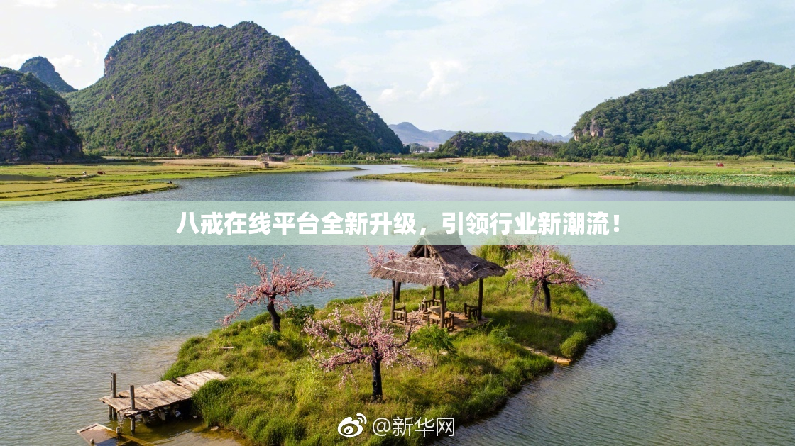 八戒在线平台全新升级，引领行业新潮流！