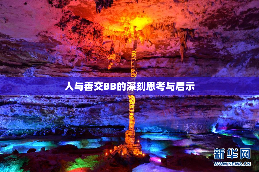 人与善交BB的深刻思考与启示