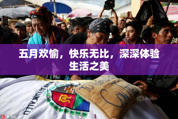 五月欢愉，快乐无比，深深体验生活之美