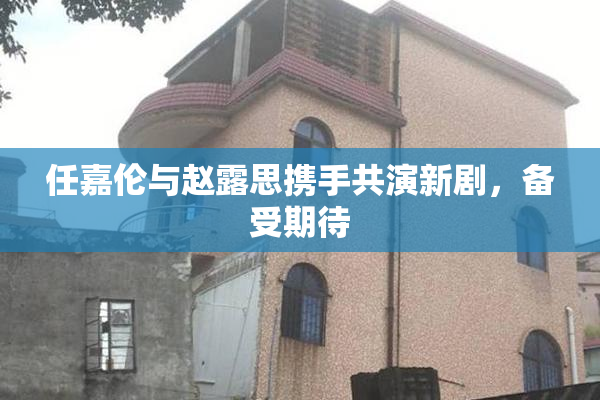 任嘉伦与赵露思携手共演新剧，备受期待
