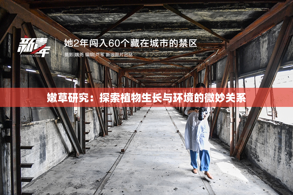 嫩草研究：探索植物生长与环境的微妙关系