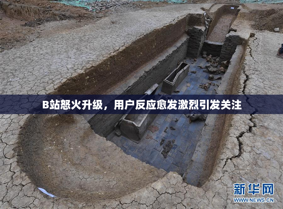 B站怒火升级，用户反应愈发激烈引发关注