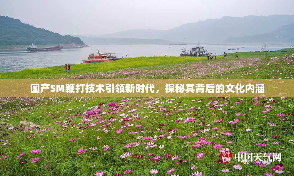 国产SM鞭打技术引领新时代，探秘其背后的文化内涵