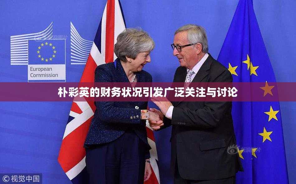 朴彩英的财务状况引发广泛关注与讨论