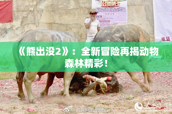 《熊出没2》：全新冒险再揭动物森林精彩！