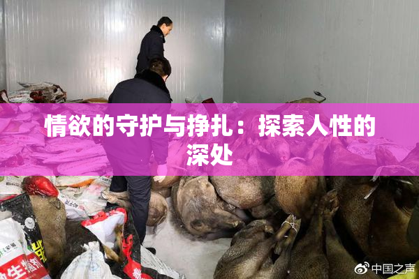 情欲的守护与挣扎：探索人性的深处