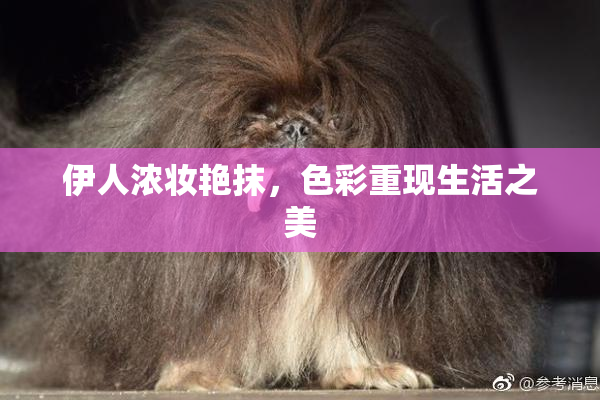 伊人浓妆艳抹，色彩重现生活之美