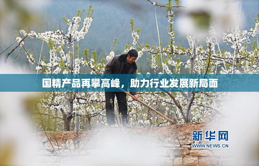 国精产品再攀高峰，助力行业发展新局面