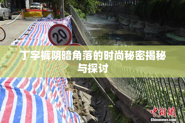 丁字裤阴暗角落的时尚秘密揭秘与探讨