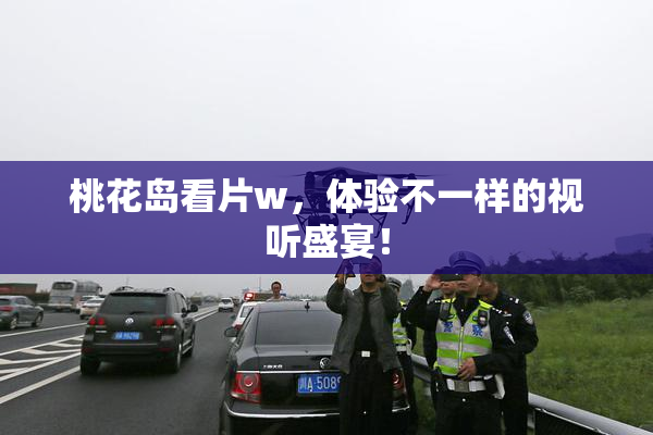 桃花岛看片w，体验不一样的视听盛宴！