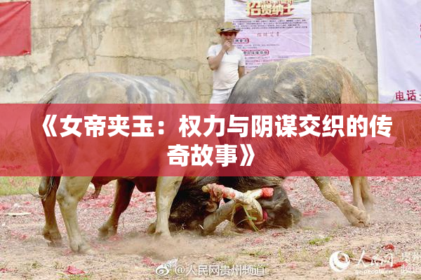 《女帝夹玉：权力与阴谋交织的传奇故事》