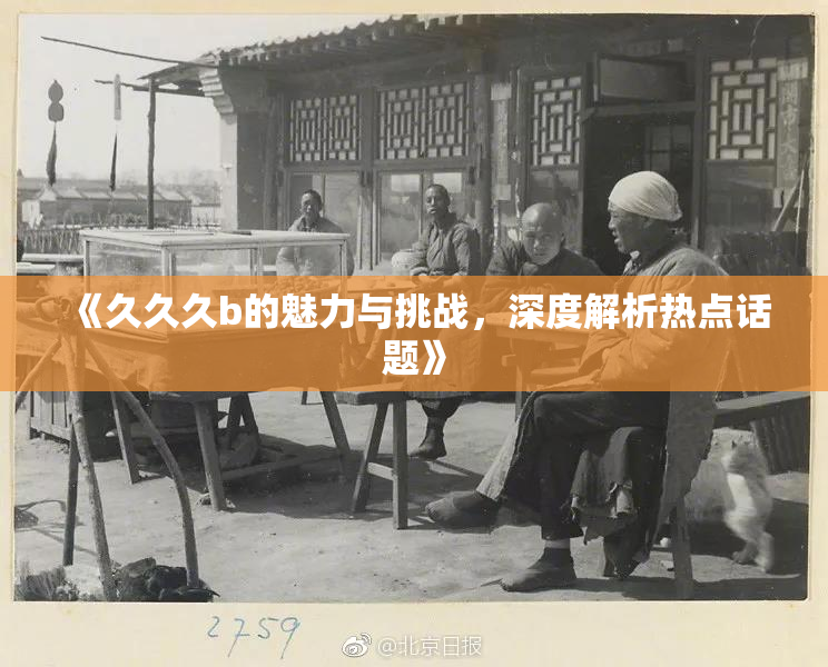 《久久久b的魅力与挑战，深度解析热点话题》