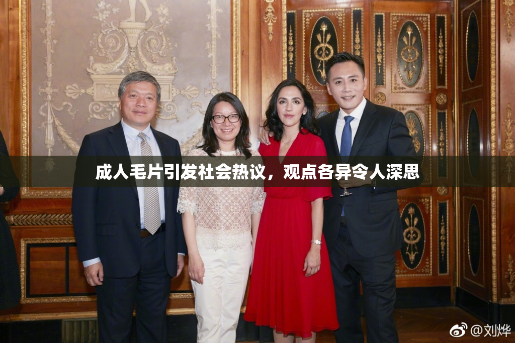 成人毛片引发社会热议，观点各异令人深思