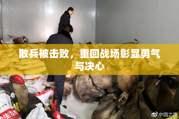 散兵被击败，重回战场彰显勇气与决心
