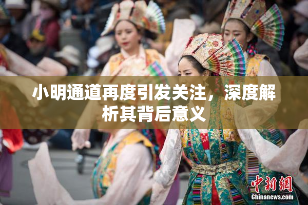 小明通道再度引发关注，深度解析其背后意义
