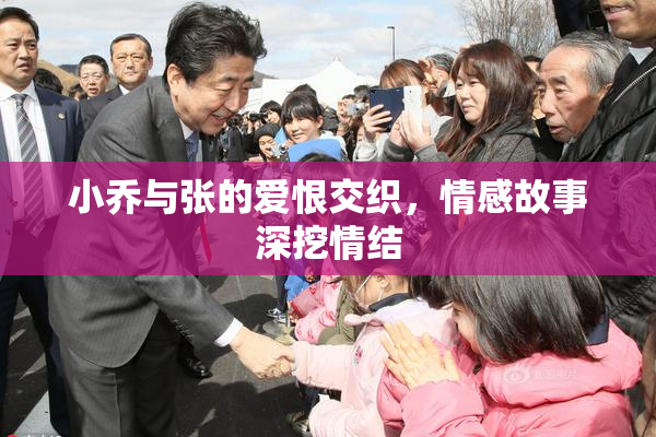 小乔与张的爱恨交织，情感故事深挖情结