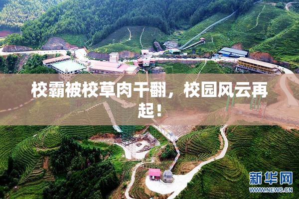 校霸被校草肉干翻，校园风云再起！