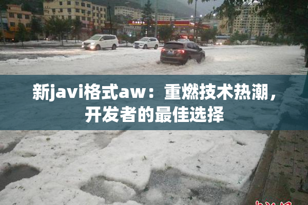 新javi格式aw：重燃技术热潮，开发者的最佳选择