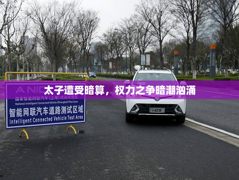 太子遭受暗算，权力之争暗潮汹涌
