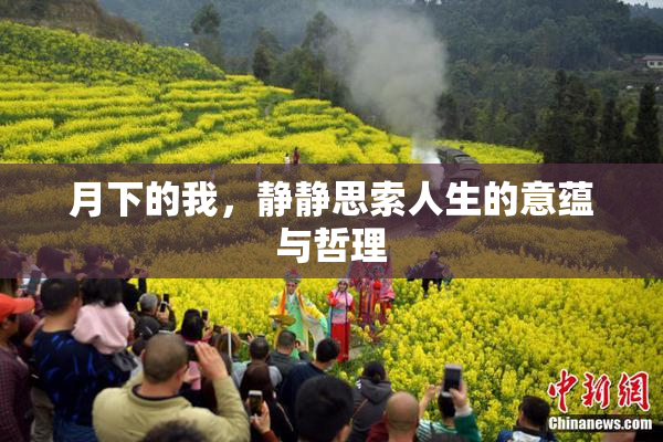 月下的我，静静思索人生的意蕴与哲理