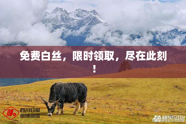 免费白丝，限时领取，尽在此刻！
