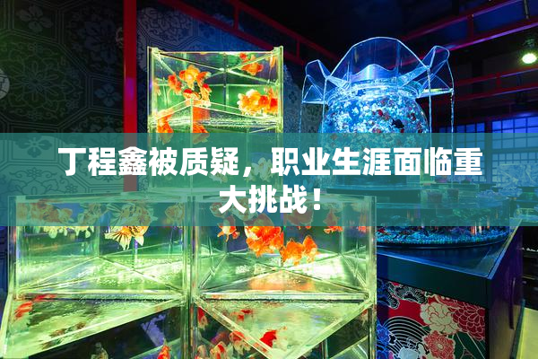 丁程鑫被质疑，职业生涯面临重大挑战！