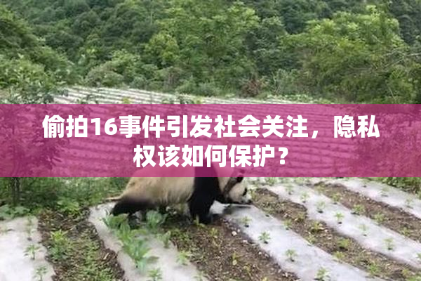 偷拍16事件引发社会关注，隐私权该如何保护？