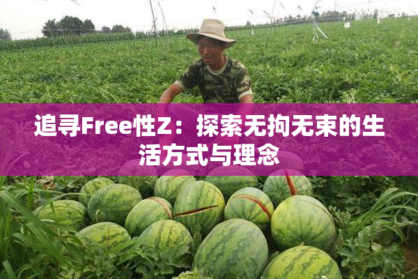 追寻Free性Z：探索无拘无束的生活方式与理念
