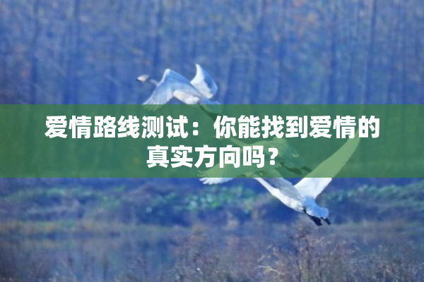 爱情路线测试：你能找到爱情的真实方向吗？