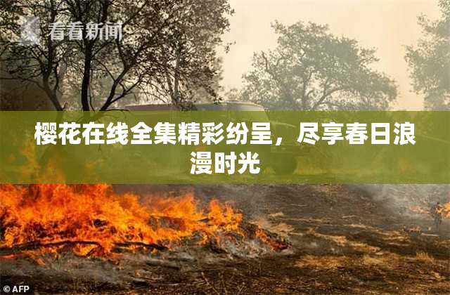 樱花在线全集精彩纷呈，尽享春日浪漫时光