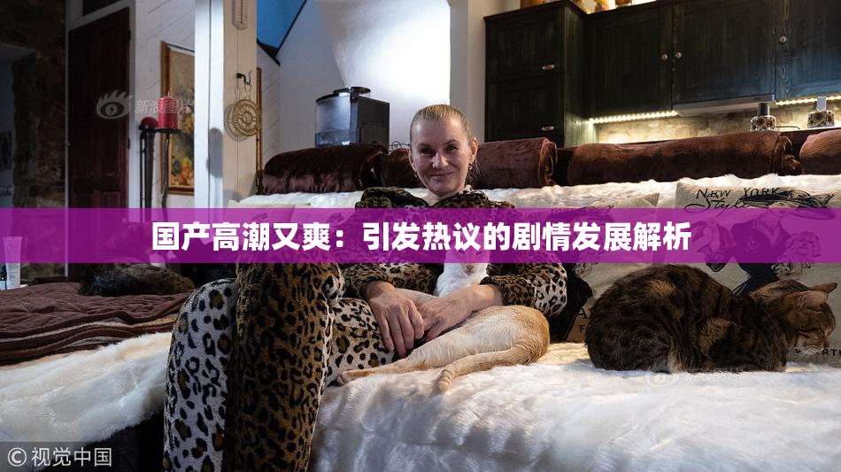国产高潮又爽：引发热议的剧情发展解析