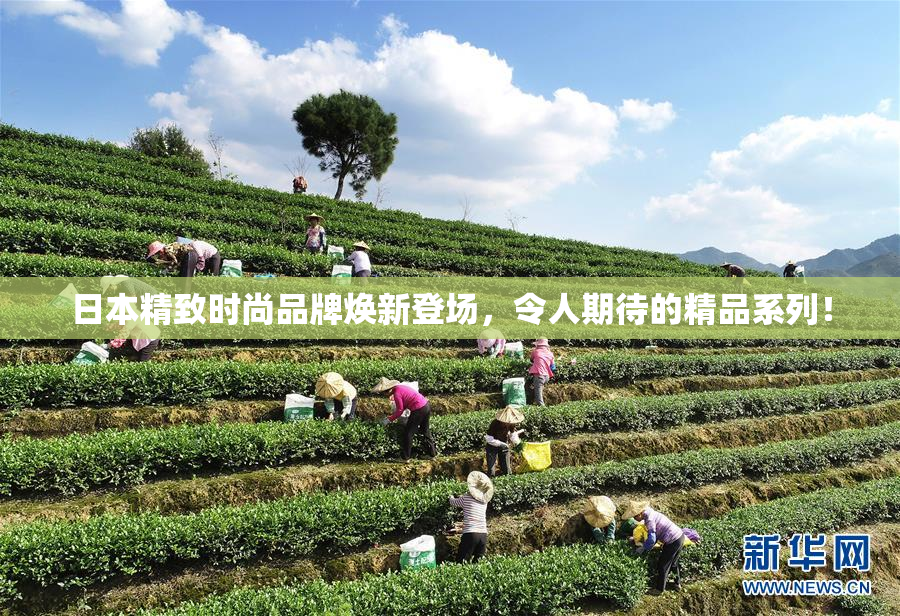 日本精致时尚品牌焕新登场，令人期待的精品系列！