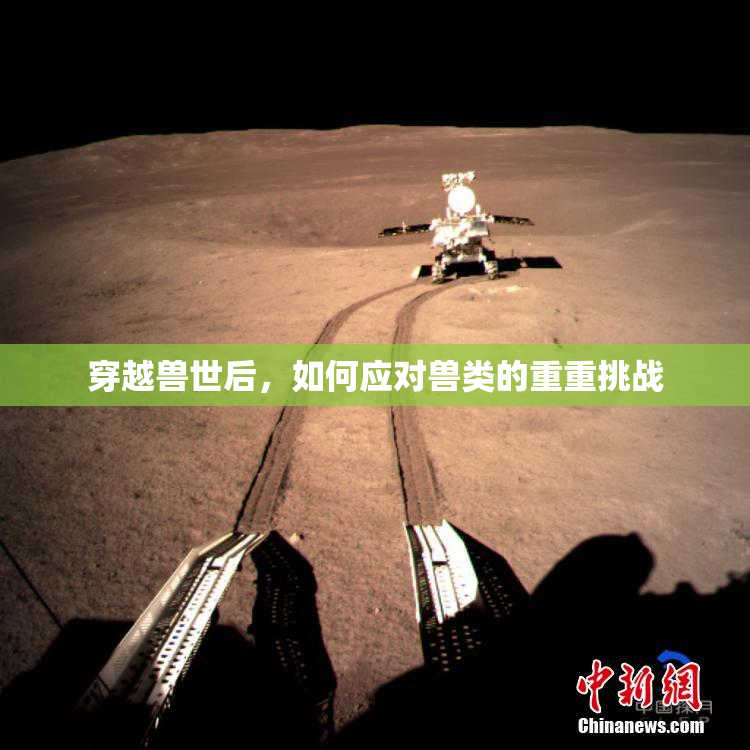 穿越兽世后，如何应对兽类的重重挑战