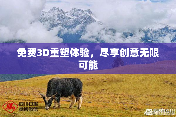 免费3D重塑体验，尽享创意无限可能