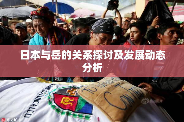 日本与岳的关系探讨及发展动态分析