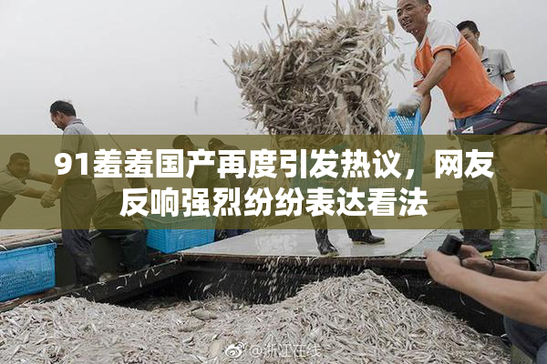 91羞羞国产再度引发热议，网友反响强烈纷纷表达看法