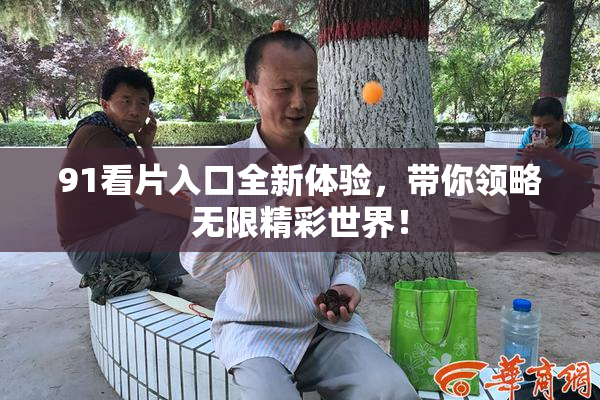 91看片入口全新体验，带你领略无限精彩世界！