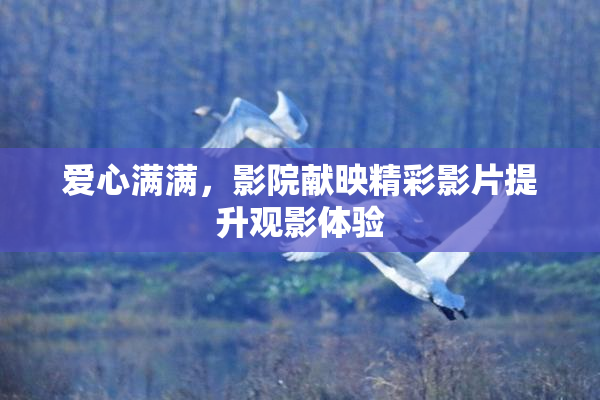爱心满满，影院献映精彩影片提升观影体验