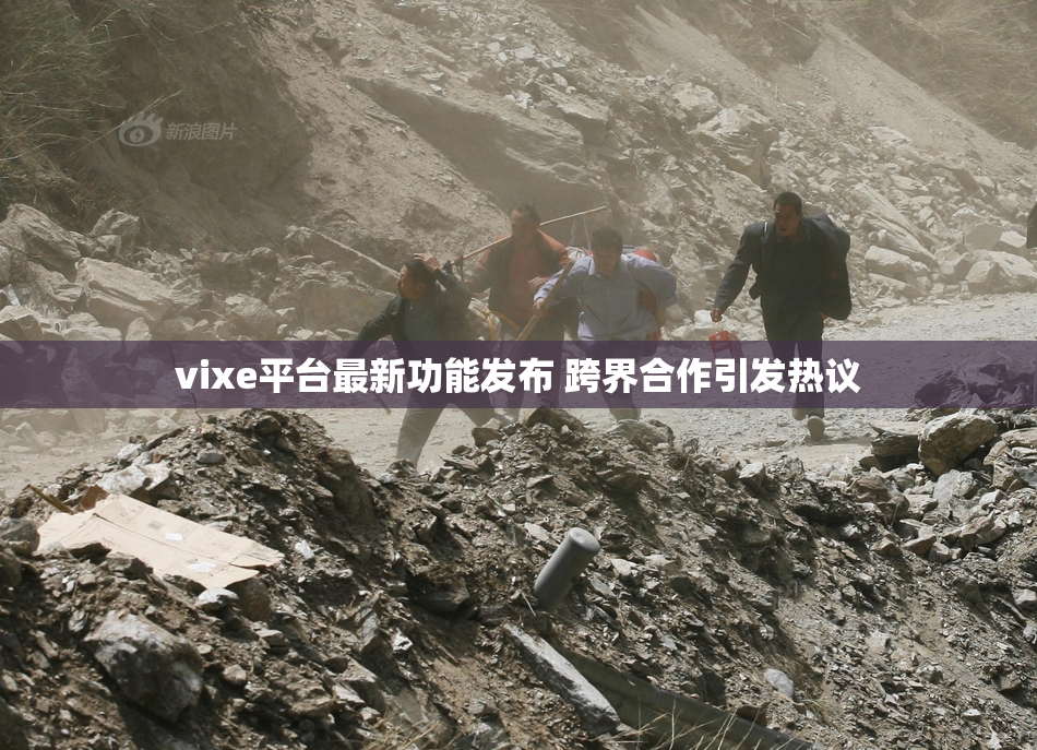 vixe平台最新功能发布 跨界合作引发热议