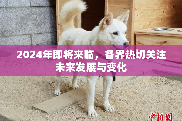 2024年即将来临，各界热切关注未来发展与变化
