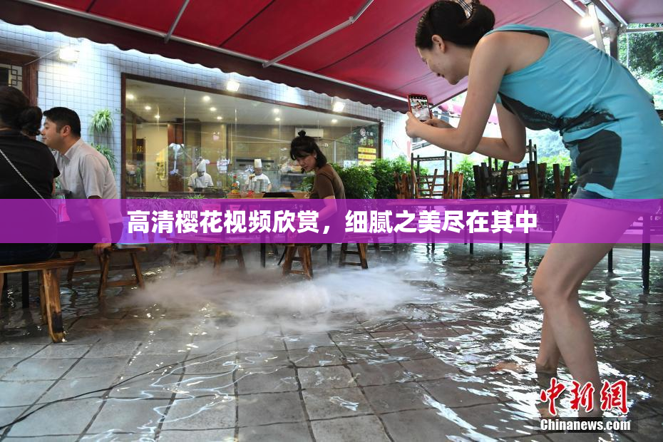高清樱花视频欣赏，细腻之美尽在其中