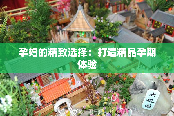 孕妇的精致选择：打造精品孕期体验
