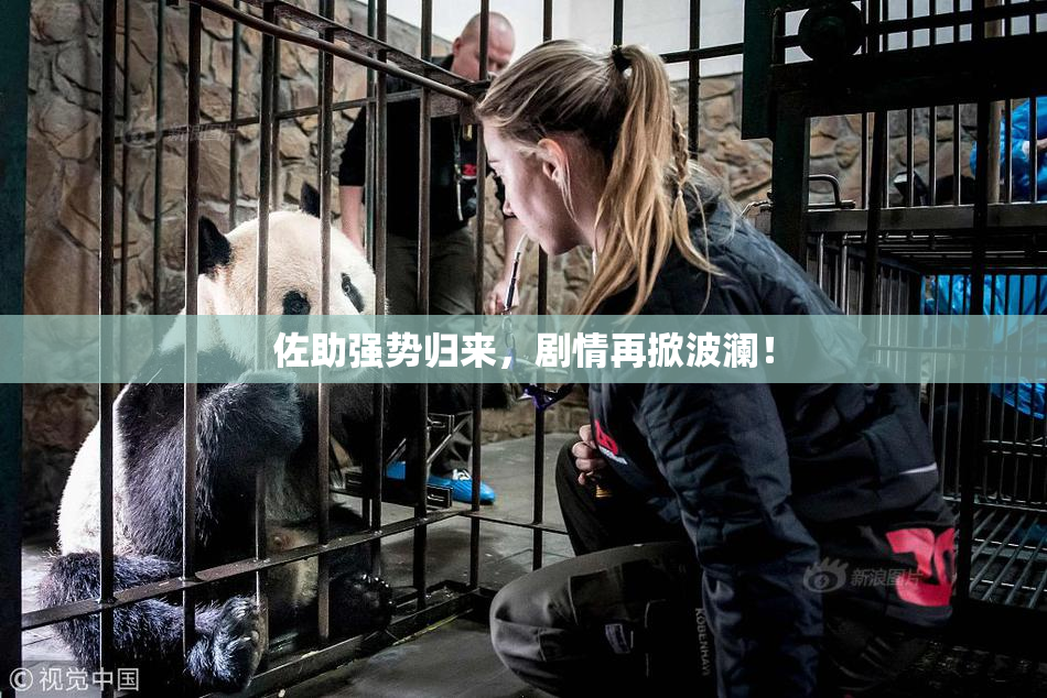 佐助强势归来，剧情再掀波澜！