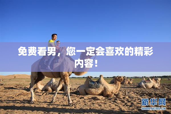 免费看男，您一定会喜欢的精彩内容！