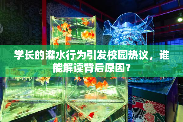 学长的灌水行为引发校园热议，谁能解读背后原因？